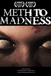 Meth to Madness Colonna sonora (2011) copertina