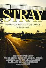 Stray Colonna sonora (2015) copertina