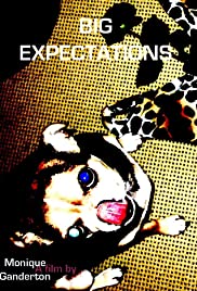 Big Expectations Banda sonora (2011) carátula