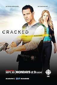 Cracked (2013) cover