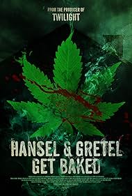 Hansel e Gretel e la strega della foresta nera (2013) copertina