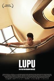 Lupu Soundtrack (2013) cover