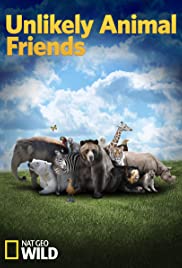 Unlikely Animal Friends (2012) cover