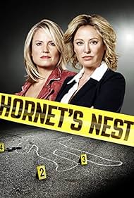 Hornet's Nest (2012) cover