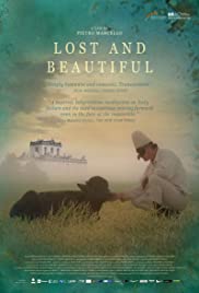 Lost and Beautiful (2015) cover