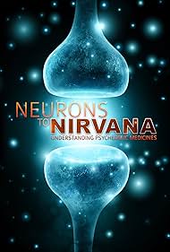Neurons to Nirvana (2013) cover