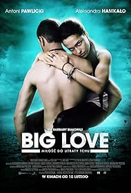 Big Love (2012) copertina