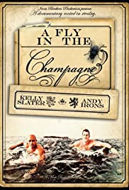 A Fly in the Champagne Colonna sonora (2009) copertina