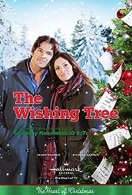 The Wishing Tree Banda sonora (2012) carátula