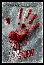 The Storm (2013) copertina