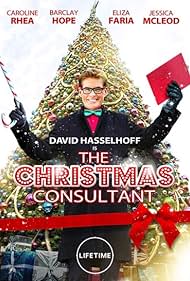 The Christmas Consultant (2012) cover