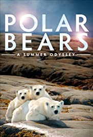 Polar Bears: A Summer Odyssey (2012) cover