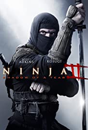 Ninja - Pfad der Rache (2013) abdeckung