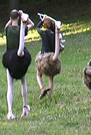 Elia: A Story of an Ostrich Chick (2003) cover