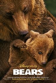 Bears Colonna sonora (2014) copertina