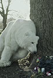 The Homeless Polar Bear (2012) cover