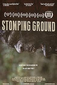 Stomping Ground (2014) copertina
