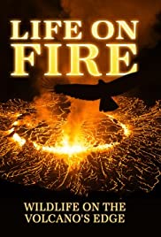 Life on Fire (2013) copertina