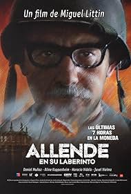 Allende en su laberinto (2014) cover