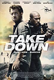 Take Down (2016) cover