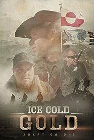 Ice Cold Gold Colonna sonora (2013) copertina