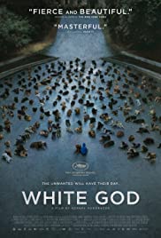 White God (2014) cover
