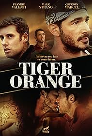 Tiger Orange (2014) copertina