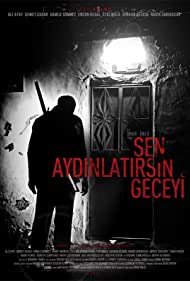 Sen Aydinlatirsin Geceyi (2013) cover