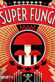 Super Fungi Colonna sonora (2013) copertina