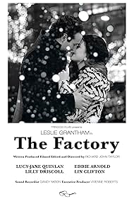 The Factory (2013) copertina