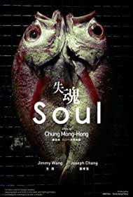 Soul (2013) copertina