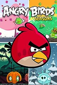 Angry Birds Seasons (2010) carátula