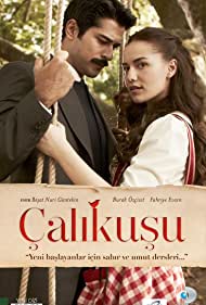 Çalikusu Colonna sonora (2013) copertina