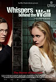 Die Frau hinter der Wand (2013) cover