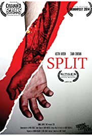 Split (2014) copertina