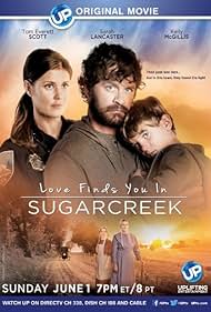 Un extraño en Sugarcreek (2014) cover