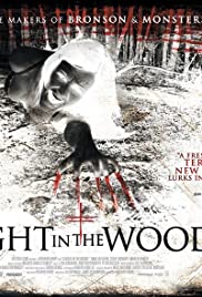 A Night in the Woods (2013) copertina