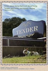 Tender (2013) copertina