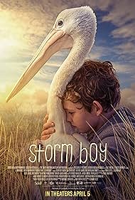 Storm Boy (2019) cover
