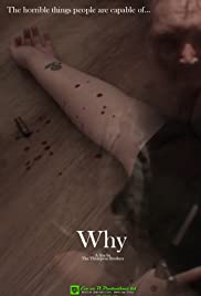 Why Banda sonora (2015) cobrir
