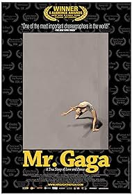 Mr. Gaga (2015) copertina