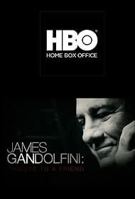 James Gandolfini: Tribute to a Friend (2013) cover