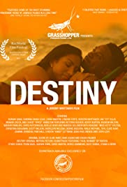 Destiny (2014) copertina