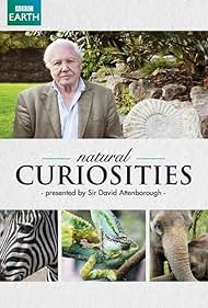 Natural Curiosities (2013) cover