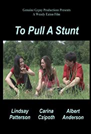 To Pull a Stunt (2013) cover