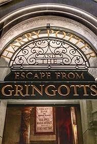 Harry Potter and the Escape from Gringotts (2014) cover