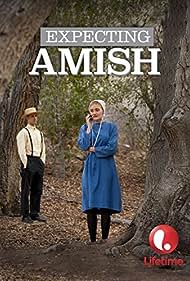 Expecting Amish (2014) cover