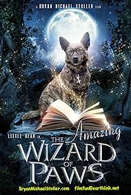 The Amazing Wizard of Paws (2015) carátula