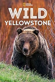 Wild Yellowstone (2015) cover