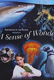A Sense of Wonder Banda sonora (2013) carátula